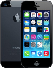 Apple iPhone 5s 16GB (Черный)