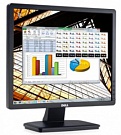 Монитор LCD DELL 19" E1913S D-Sub, 1280x1024, 5:4
